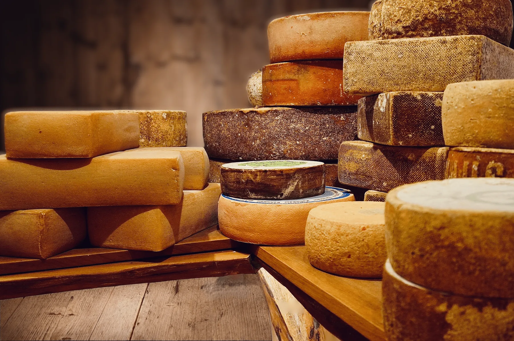 Wheels of aged artisan cheese stacked on wooden shelves